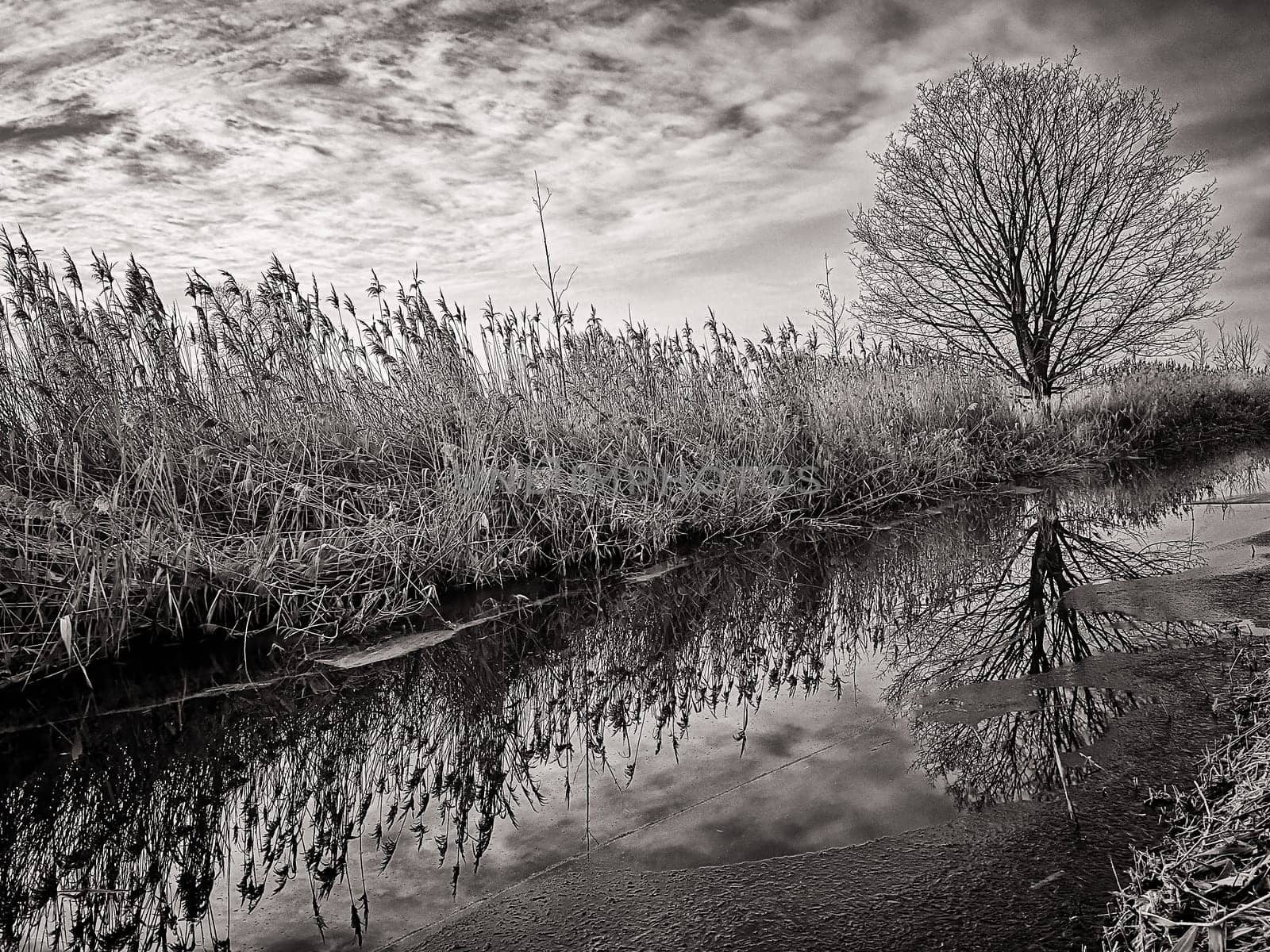 small canal in Brandenburg countryside, Germany