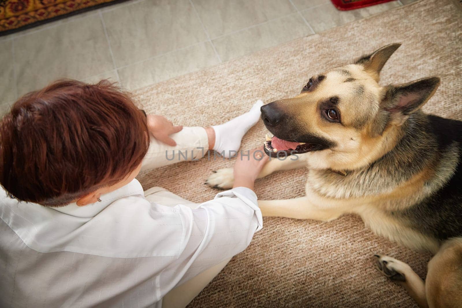 A blonde woman relaxes in a cozy room, sharing affectionate moments with her German Shepherd dog on a soft rug.