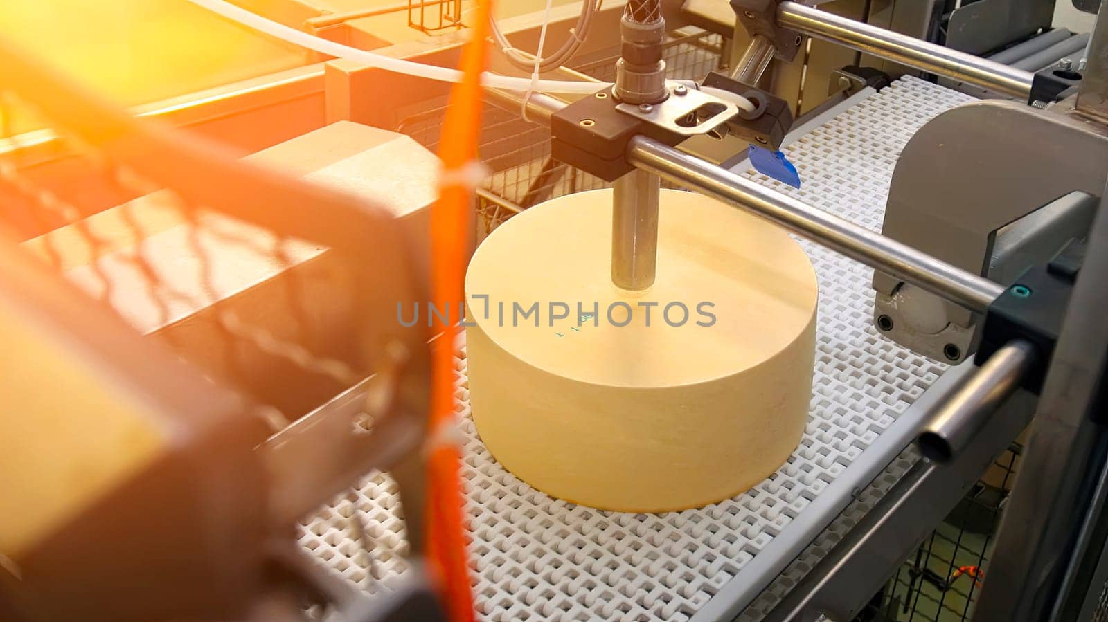 An automated machine packages at a dairy facility, focusing on a round cheese wheel on the production line.