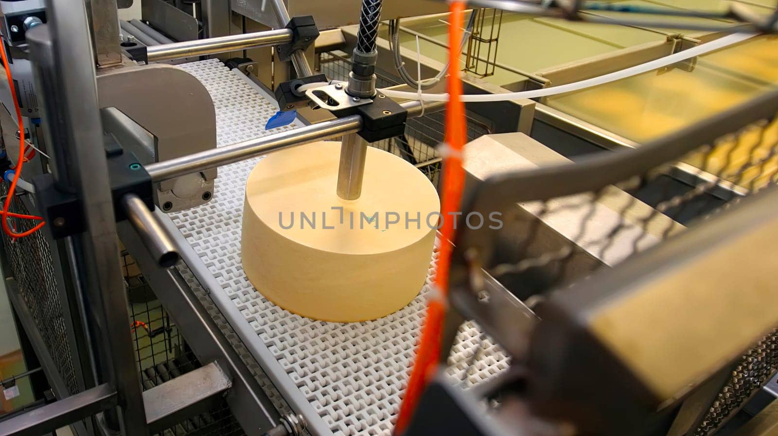 A large cheese wheel moves along a conveyor belt as machines process it in a dairy production facility during daytime operations.