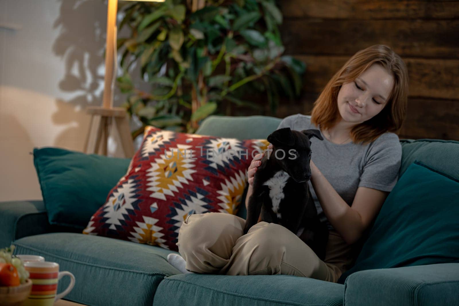 A young woman is enjoying quality time with her adorable dog while relaxing on a couch in a cozy living room,