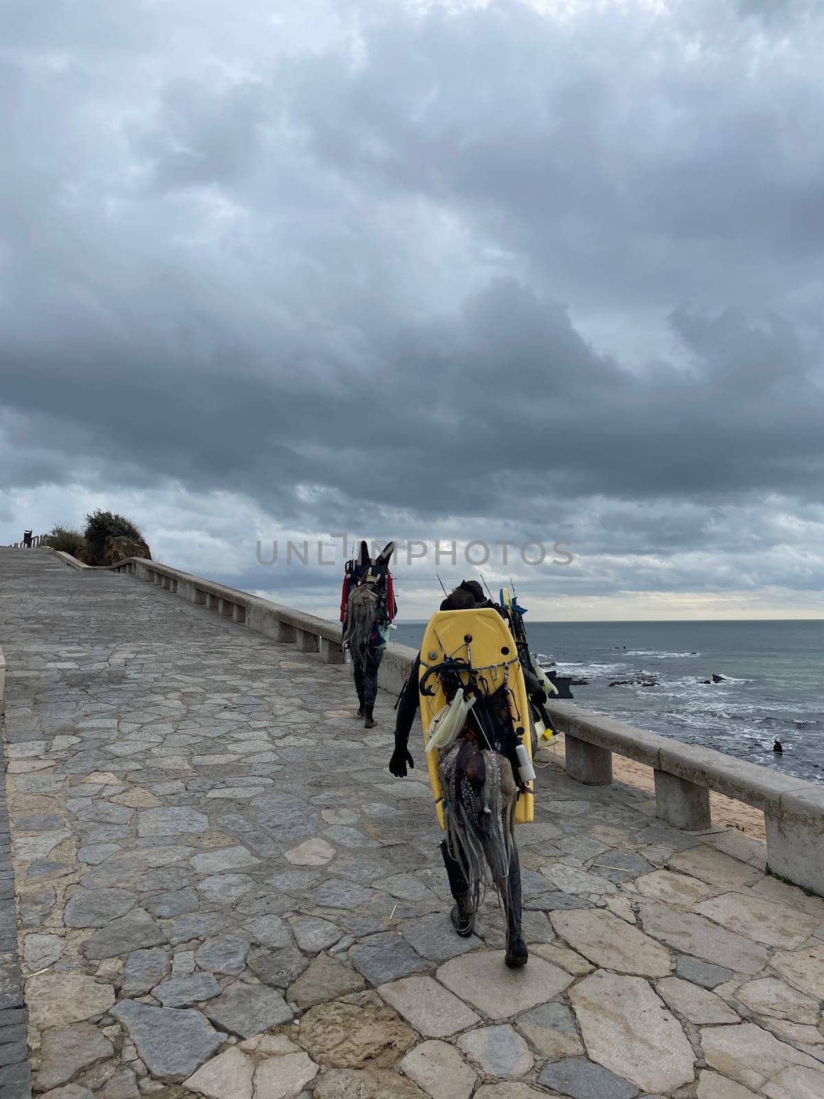 Full body back view of anonymous spear fishers with their catch and equipment walking on promenade by sea against cloudy sky