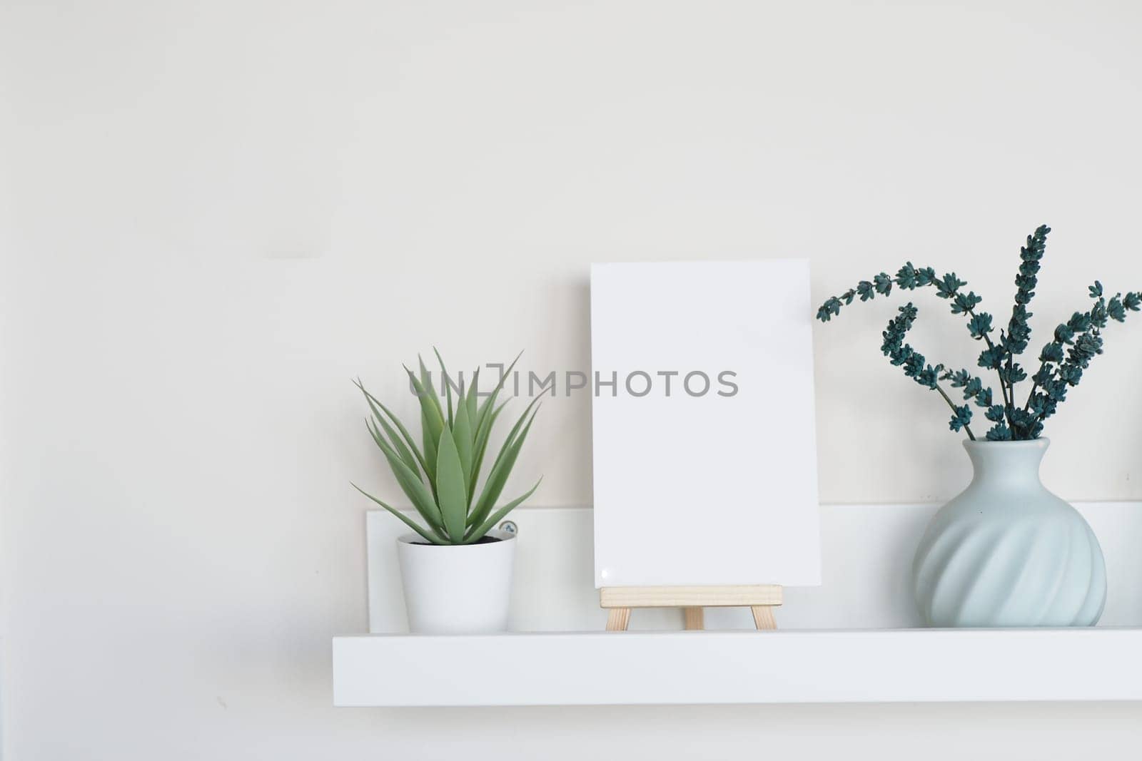 A neutral display featuring a blank canvas and potted plants on a shelf.