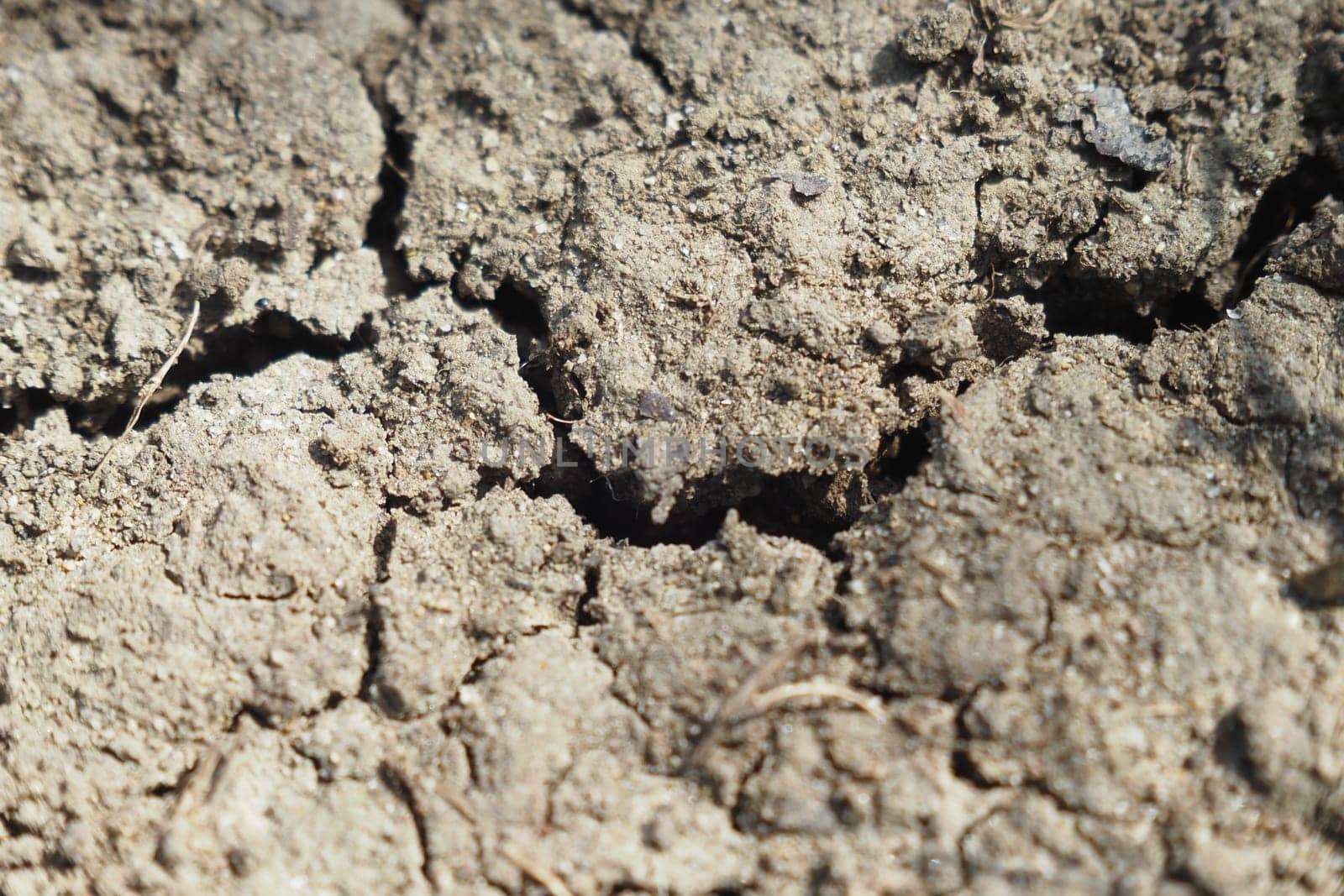 Dry, cracked soil shows signs of drought affecting the farmland area.
