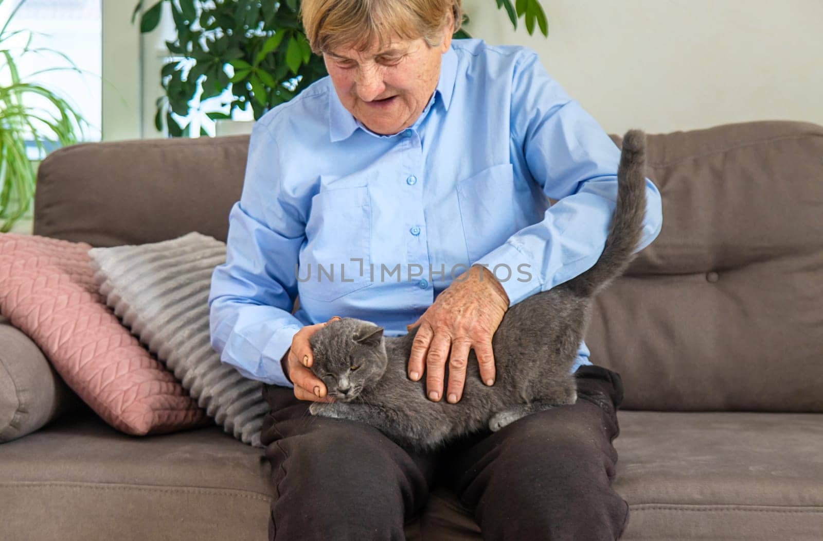 Old woman with a cat. Selective focus. People,