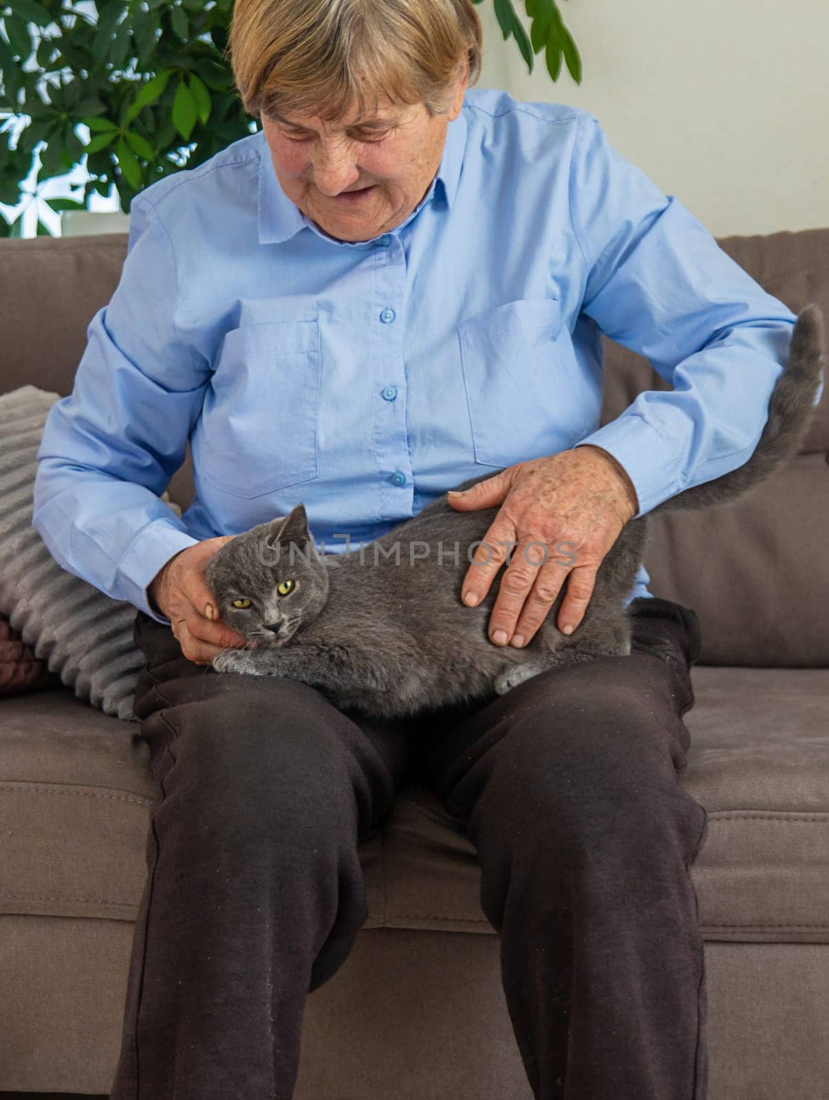 Old woman with a cat. Selective focus. People,