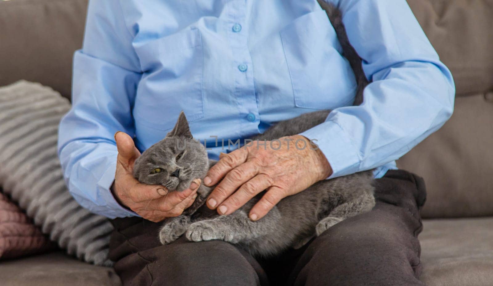 Old woman with a cat. Selective focus. People,