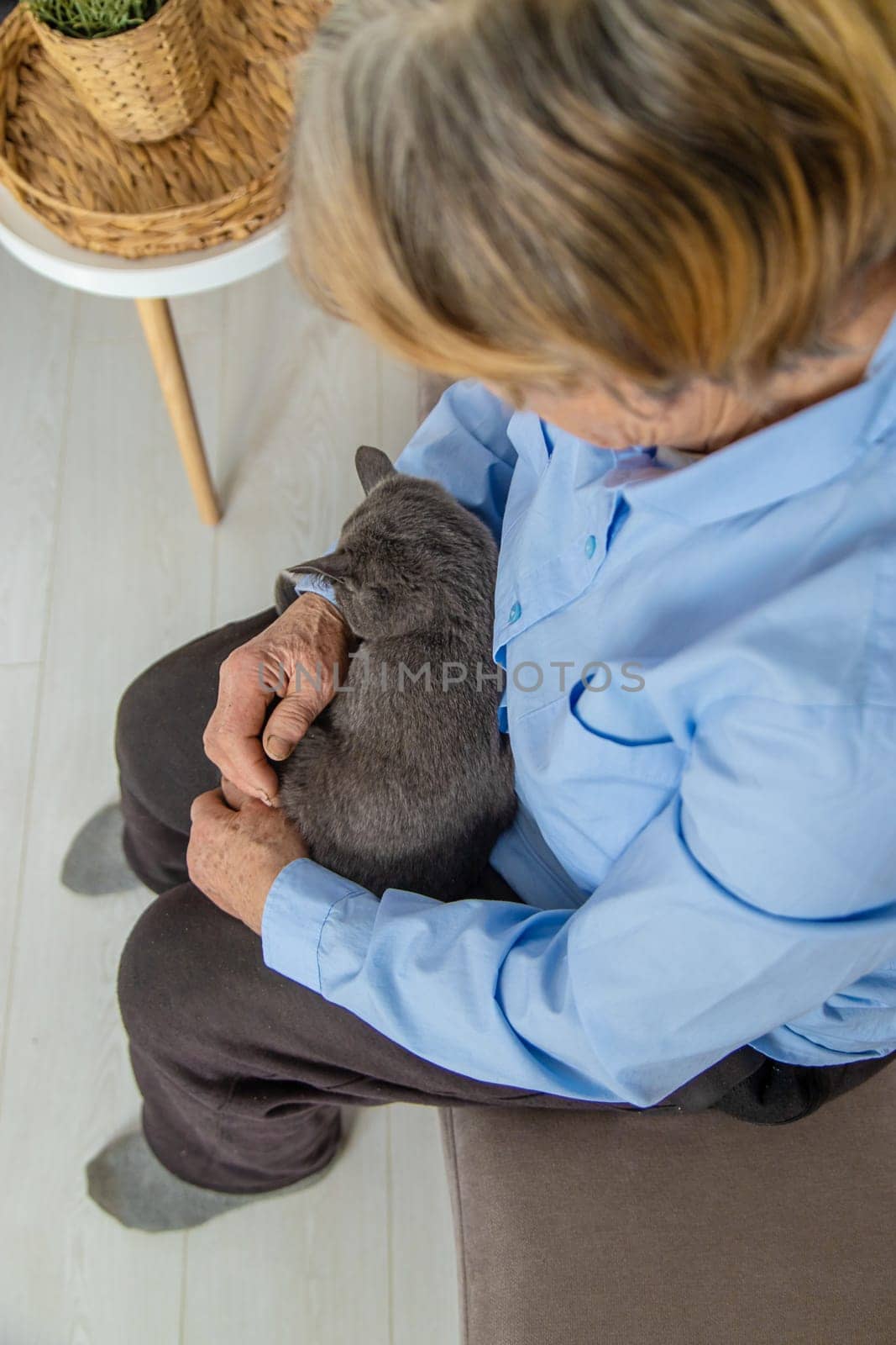 Old woman with a cat. Selective focus. People,
