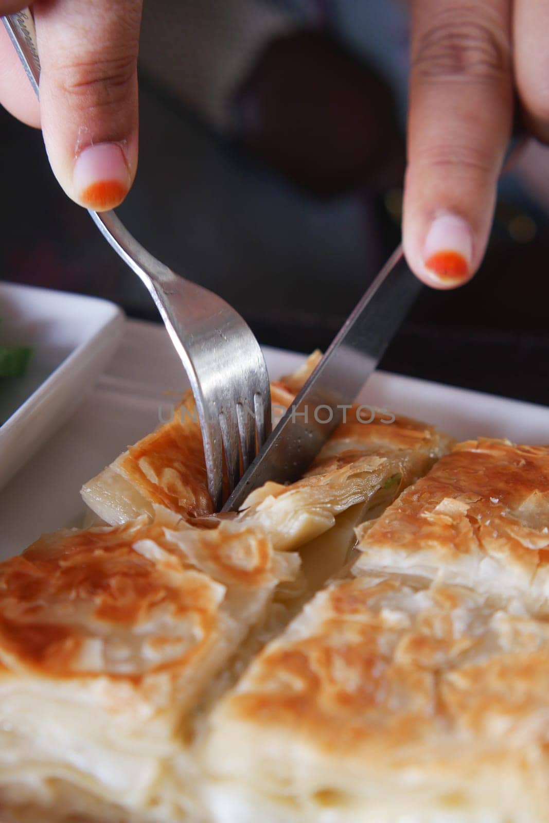 Traditional Turkish Cuisine Pastries borek on a plate ,