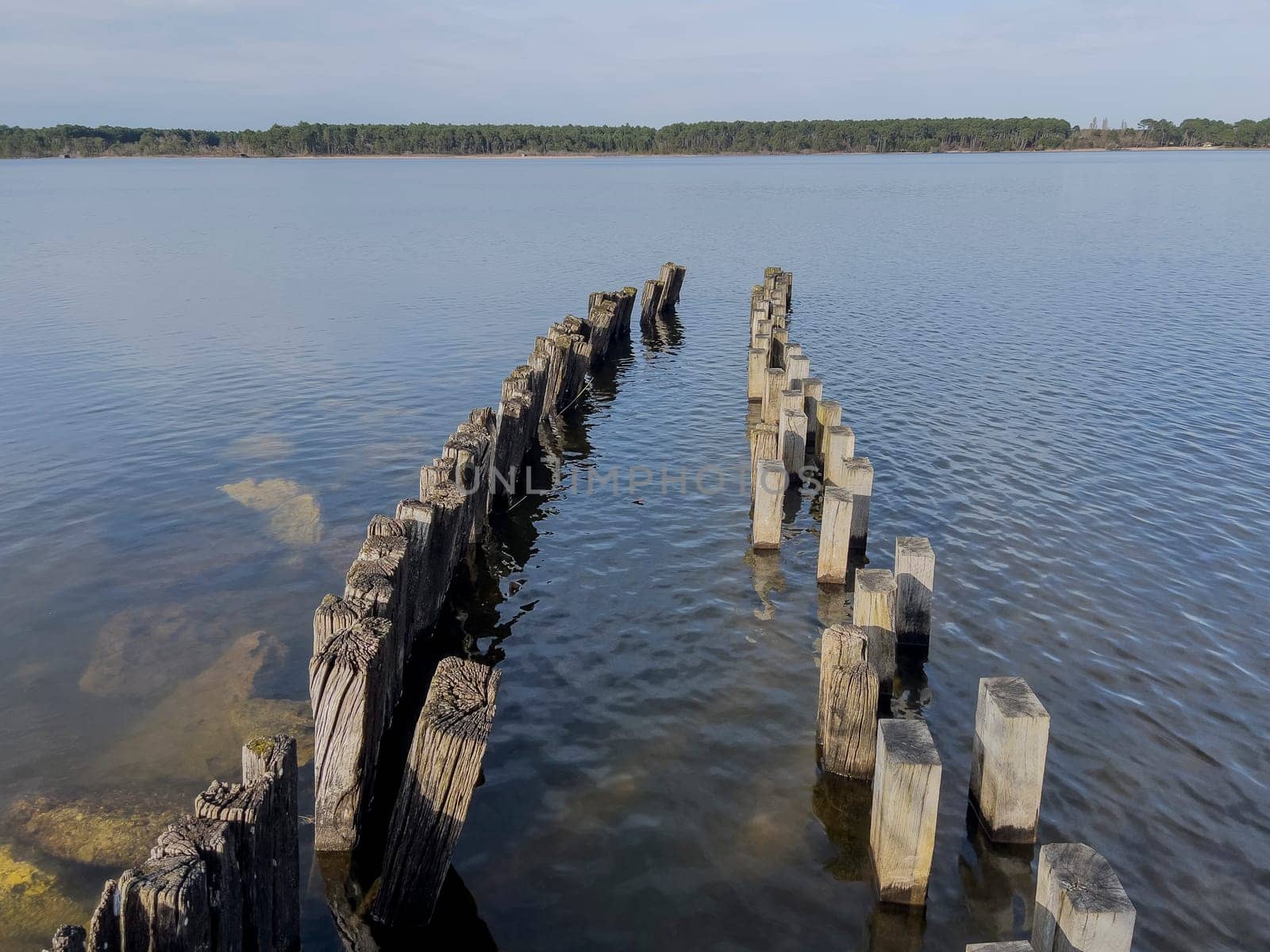 Weathered wooden pilings create a striking pattern in the tranquil waters of Lac Sanguinet, framed by lush greenery and a bright blue sky, inviting visitors to explore the natural beauty.