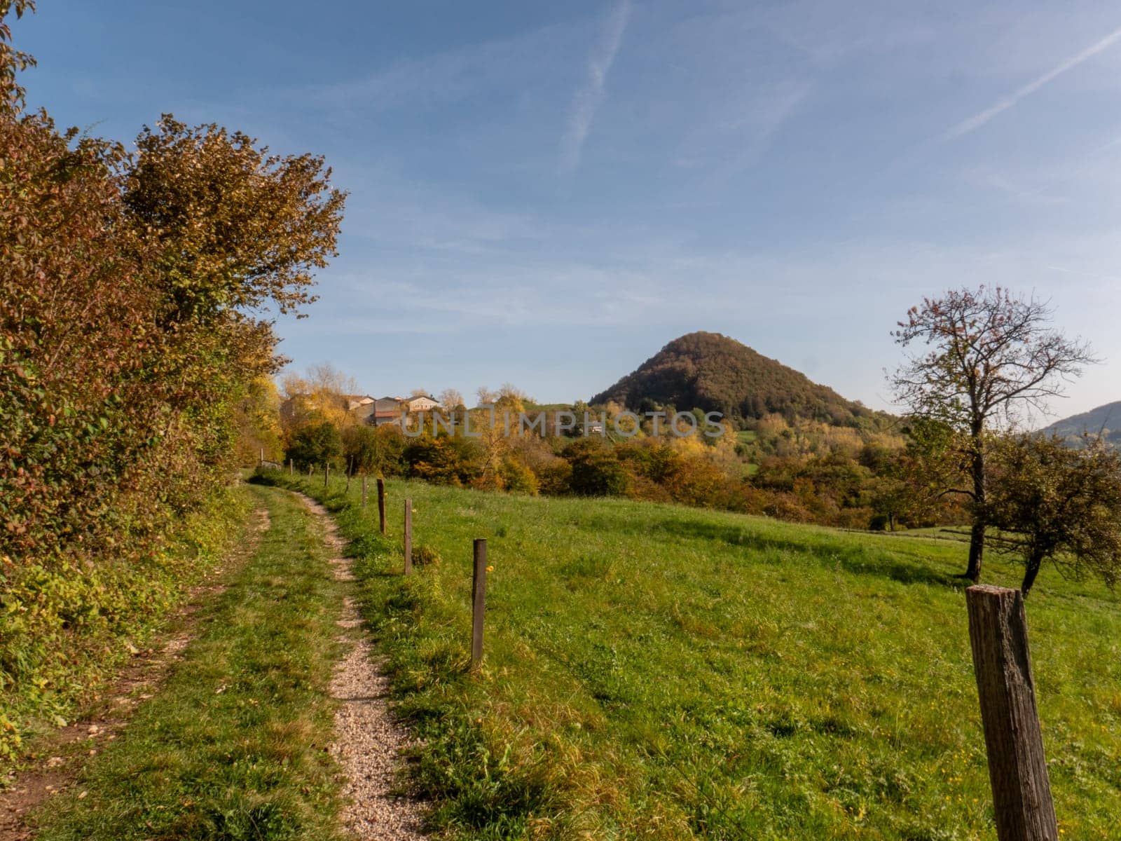 A peaceful forest path winding through the Lessini Mountains Durlo, Veneto. High quality photo
