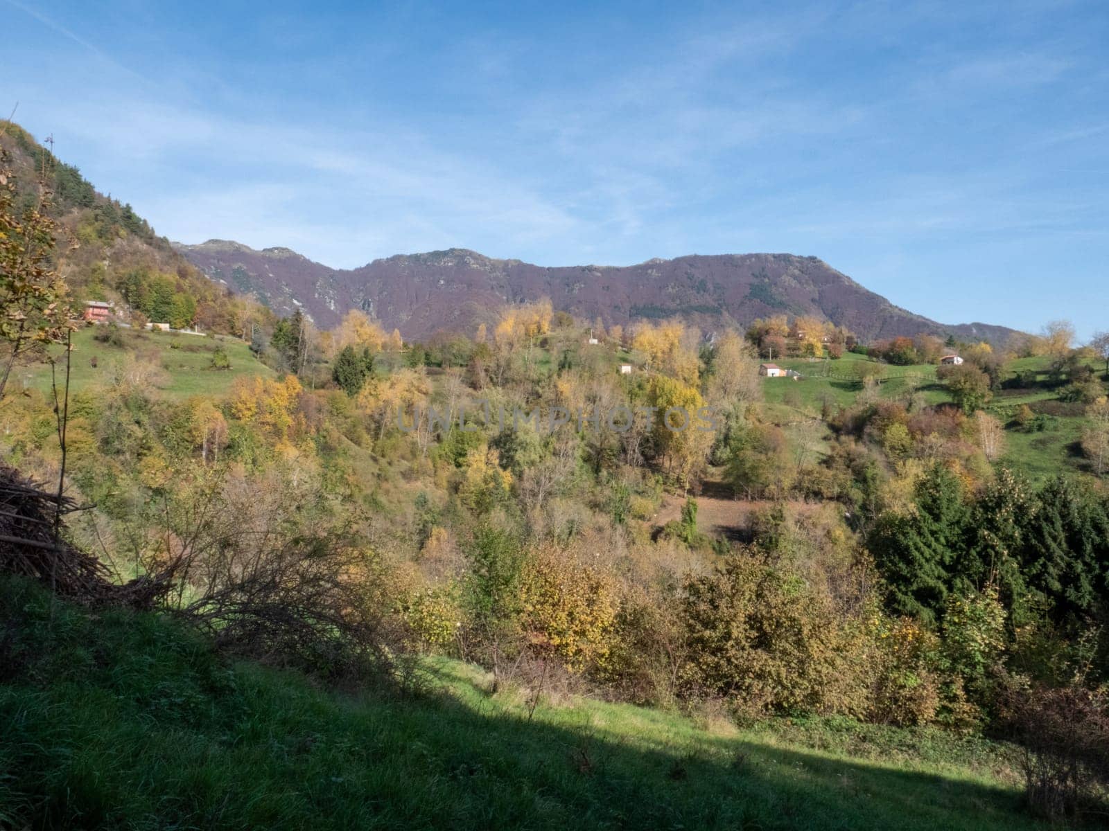 A peaceful forest path winding through the Lessini Mountains Durlo, Veneto. High quality photo