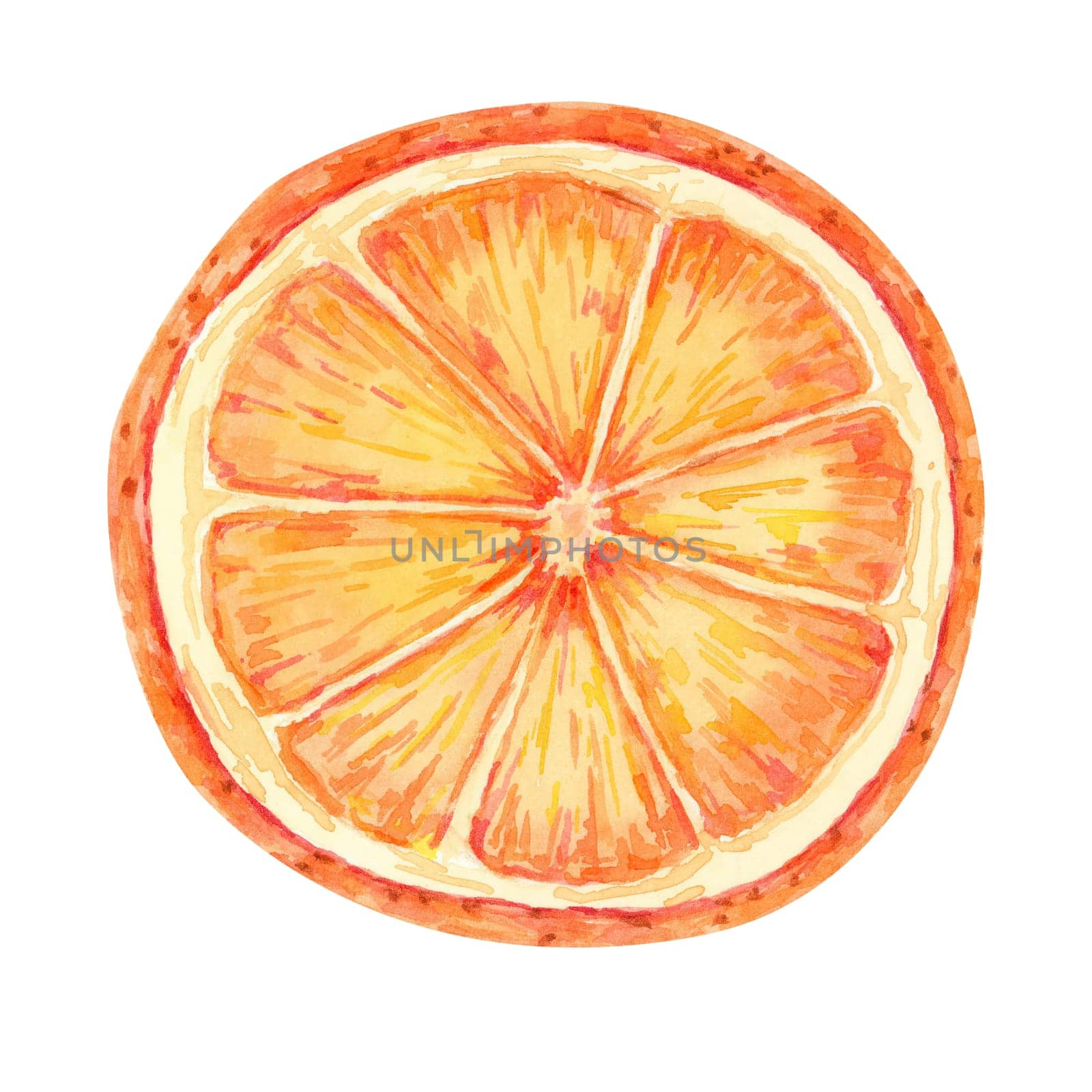 An orange slice in vibrant orange tones, Watercolor illustration, perfect for summer-themed designs, food blogs and kitchen decor. Detailed citrus fruit clipart for recipe books and beverage packaging