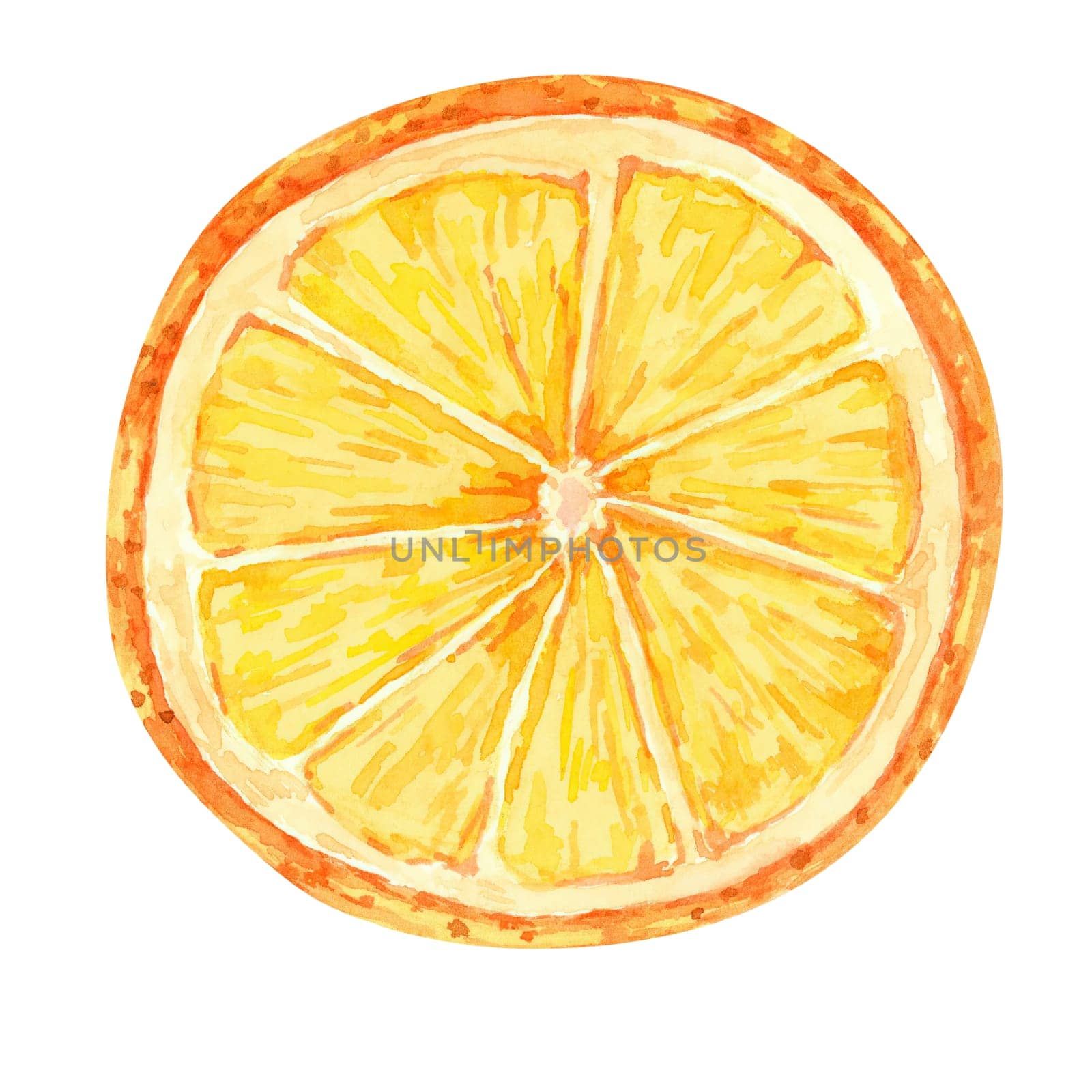 A yellow-orange citrus fruit slice, watercolor clipart for brightening up food packaging, citrus-themed designs, and kitchen decor. Orange or tangerine illustration for culinary merchandise