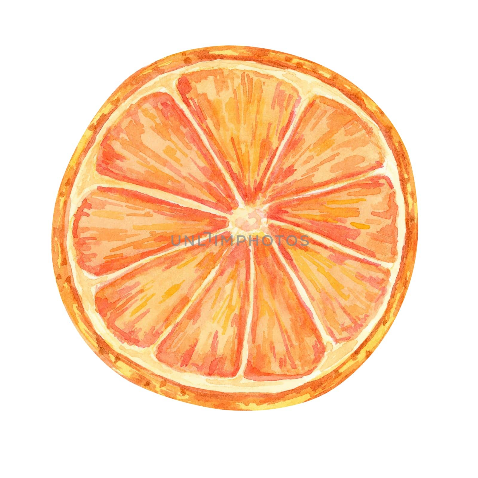 An orange, tangerine or mandarin slice with reddish-orange tones. Watercolor illustration. Isolated clipart for fruit related branding, restaurant menus, or citrus-themed designs for food packaging