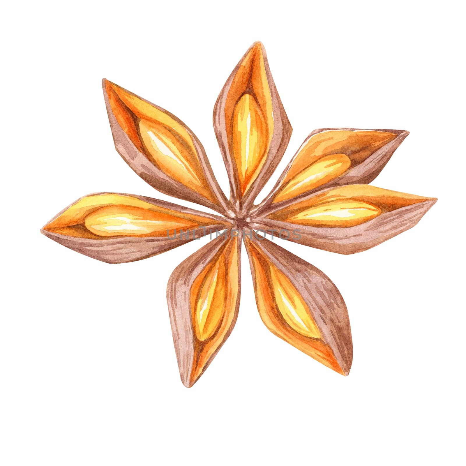 A star anise in warm brown and orange tones. Watercolor illustration ideal for spice-themed designs, culinary blogs, and kitchen decor. Perfect for enhancing holiday cards and food packaging