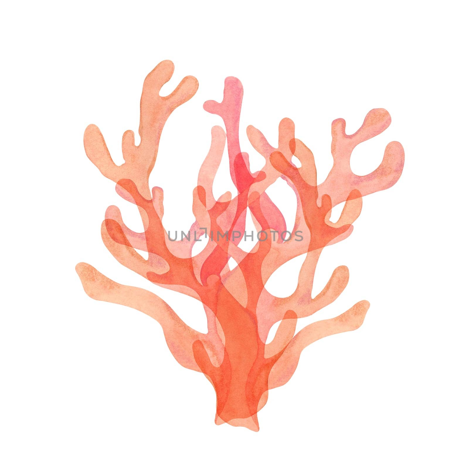 Bright pink watercolor coral clipart with detailed branches. Red coral for tropical and ocean projects, sea life isolated hand drawn illustration enhances marine-inspired designs, product packaging.