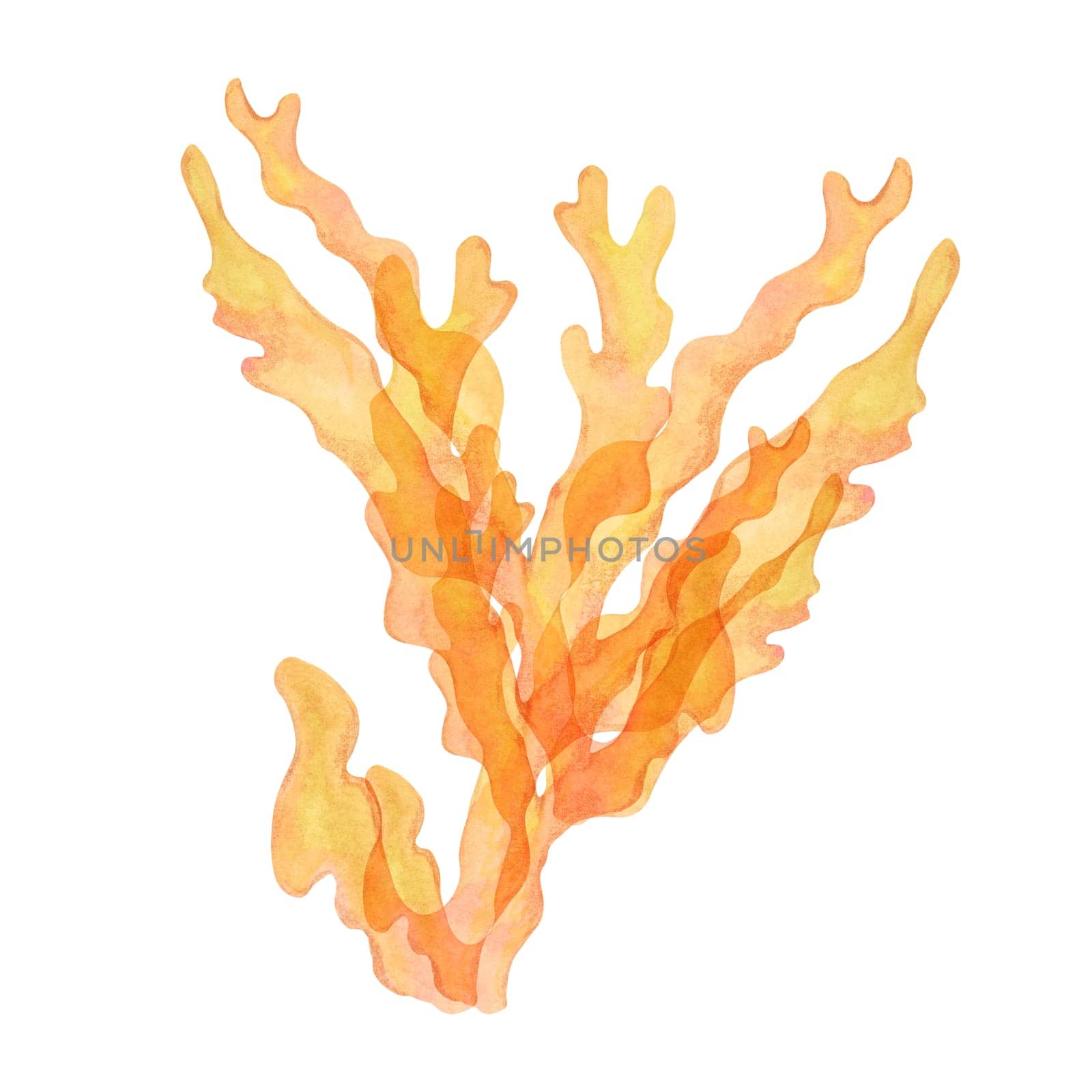 Orange coral, watercolor isolated clipart with dense, upward-reaching branches. Gold coral hand drawn sea life illustration adds an exotic touch to underwater scenes or marine designs, packaging