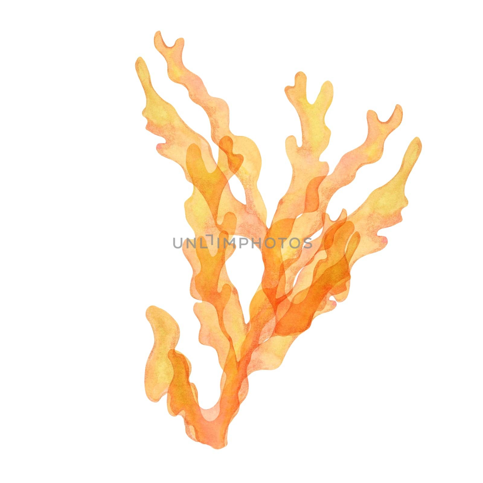 Yellow-orange watercolor coral clipart with intricate branching. Gold, fire coral ideal for coral reef scenes, hand drawn isolated sea life illustration enhances underwater designs, packaging