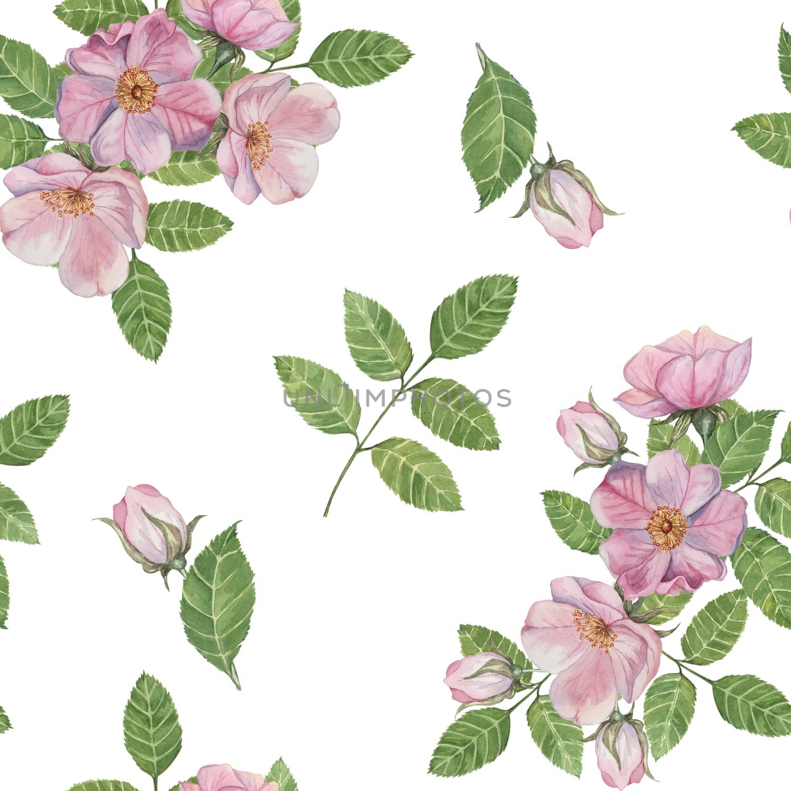 Flowers of Rosa Canina, wild rose buds, rosehip, and green leaves. Watercolor clipart, seamless pattern. Ideal for fabric design, wallpapers, or stationery, offering a nature-inspired artistic touch