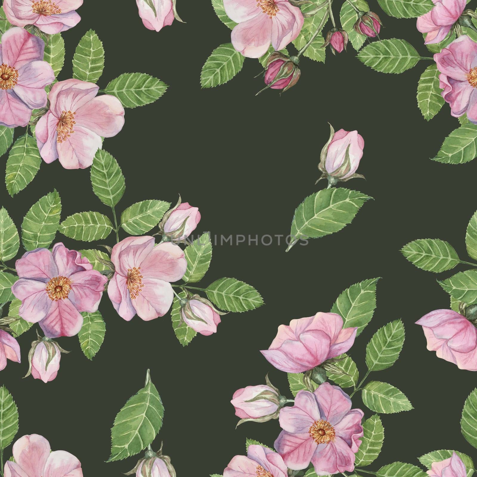 Flowers of Rosa Canina with soft green leaves on dark green background. Seamless pattern, watercolor illustration. Clipart for apparel design, gift wrap, or as a decorative element in home textiles