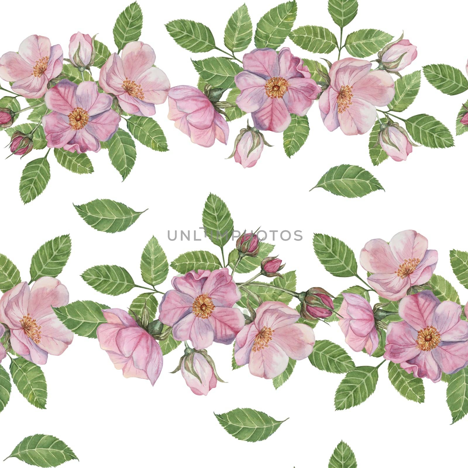 Rosa Canina flowers in bloom, buds, and green leaves in horizontal composition. Seamless pattern watercolor clipart. Perfect for enhancing wallpaper, fabric designs, upholstery, or stationery