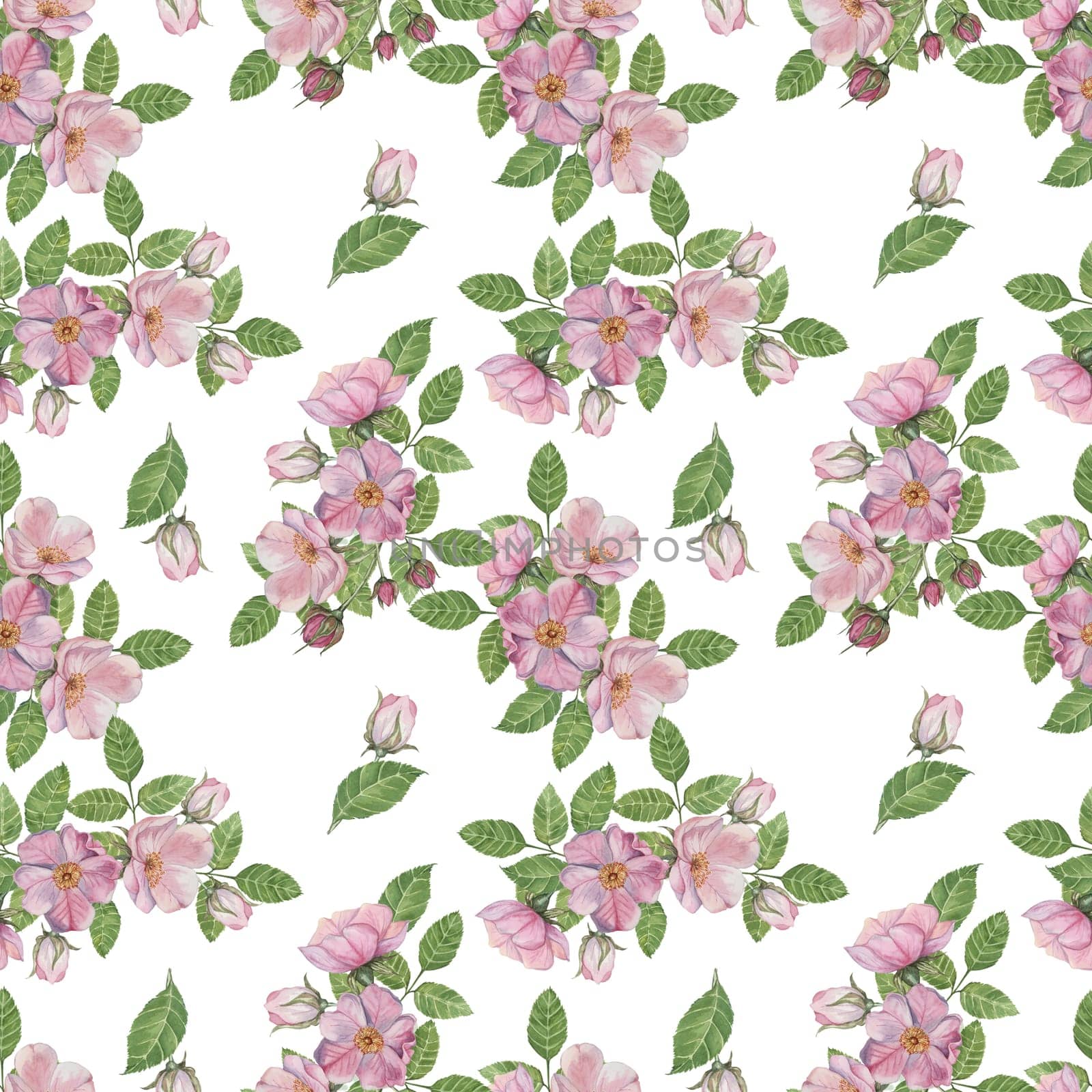 Pink Rosa Canina flowers and rosehip buds with green leaves. Seamless pattern, Dog rose hand painted watercolor clipart. Perfect for fabric patterns, wallpapers, or custom stationery designs