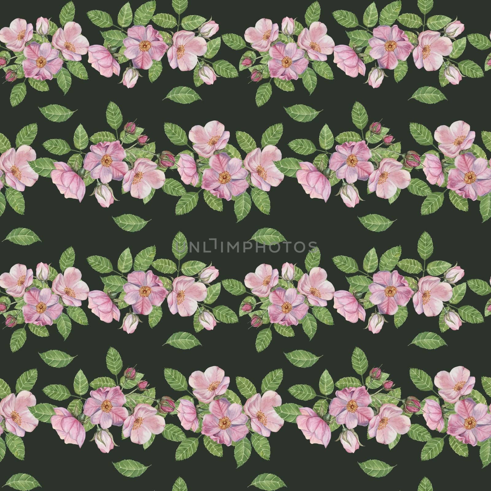 Watercolor clipart of pink Rosa Canina flowers, rosehip buds, and green leaves. Hand drawn floral seamless pattern clipart. Great for fabric printing, wallpaper design, kitchen textile or packaging