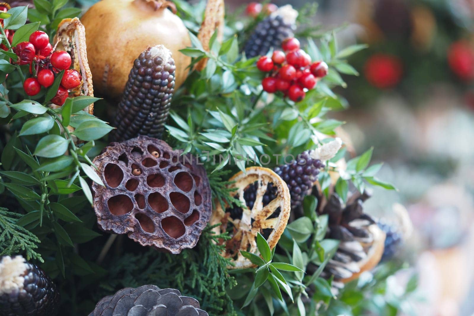 Beautiful arrangement showcasing dried fruits, botanicals, and vibrant colors.