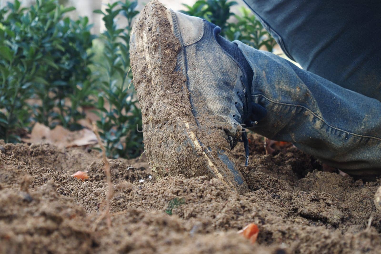 A person is engaged in gardening, leaving muddy footprints behind.