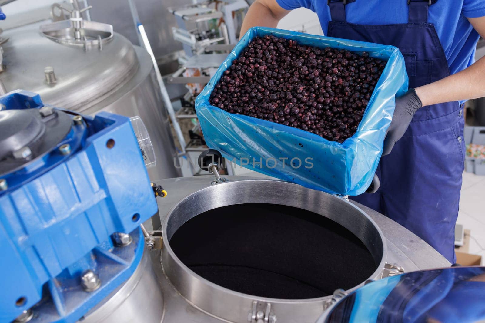Worker pouring fresh berries into an industrial food processing machine, modern factory production of juice, jam, or extract in a hygienic facility.
