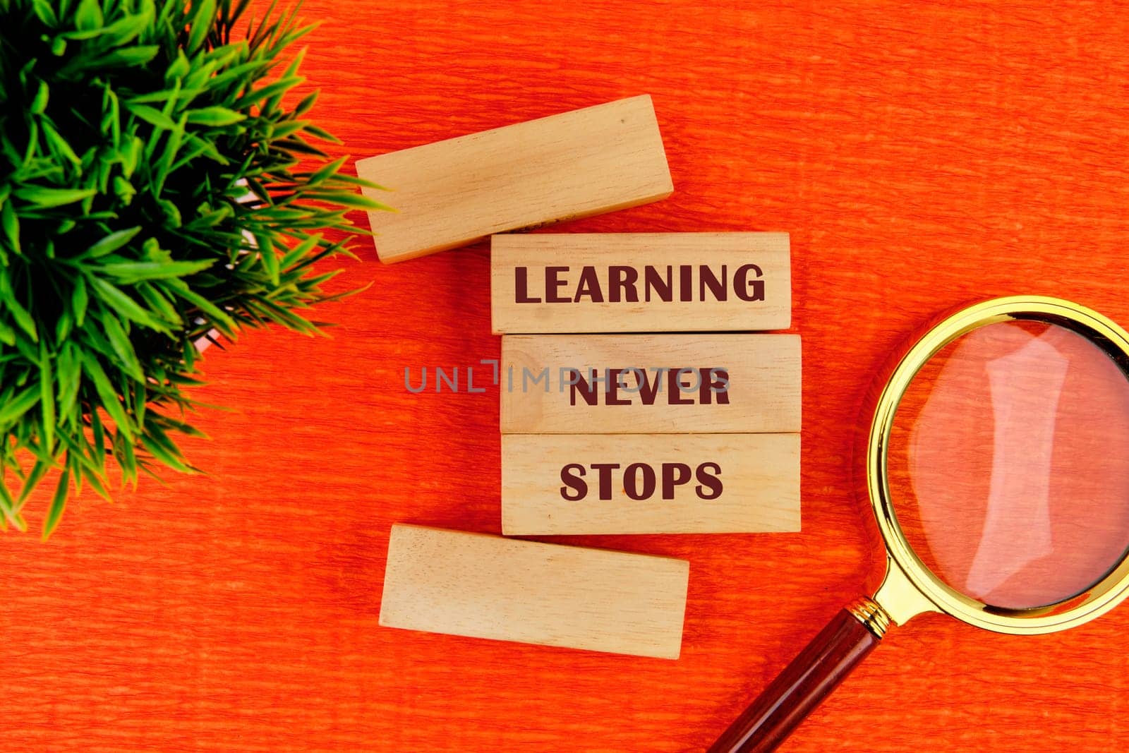 Wooden blocks display the phrase learning never stops surrounded by a magnifying glass and a small green plant on an orange surface