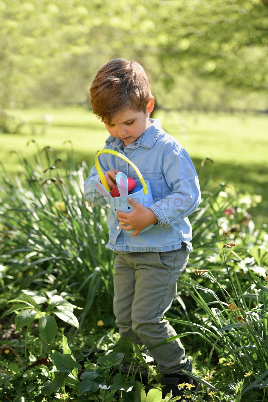 Boy collects the eggs in a basket Easter