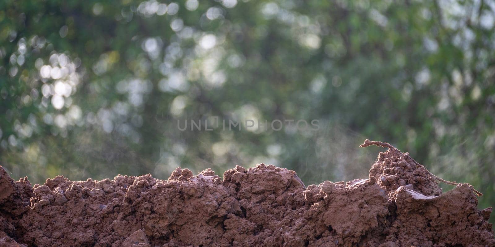 Fresh steaming earth soil in green nature