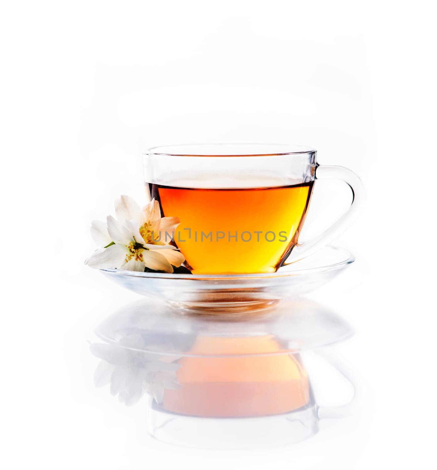Asian green tea with jasmine flower in transparent teacup isolated on white background with reflection. Traditional chinese hot beverage in glass cup. Organic healthy herbs for alternative medicine