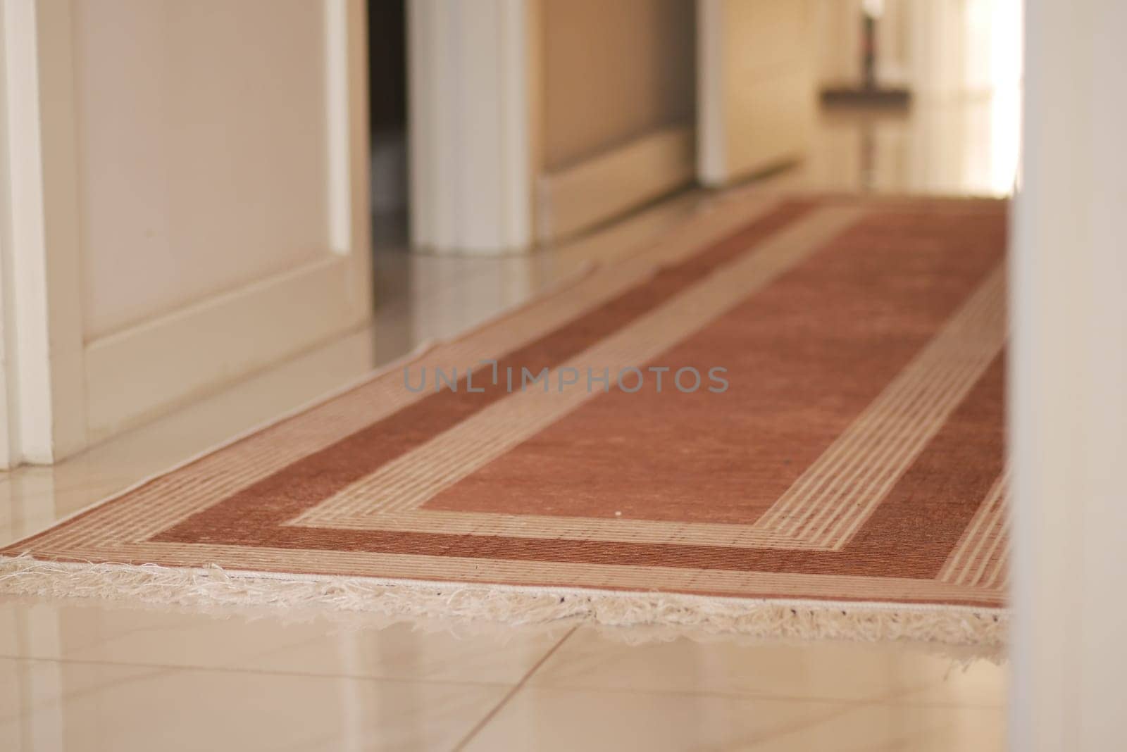 A hallway rug adds warmth and style to a bright corridor space.