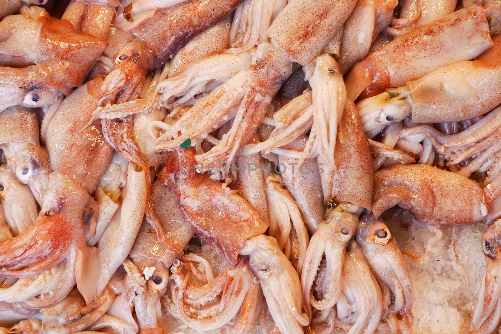 A variety of fresh squid is arranged on ice for sale at a market.