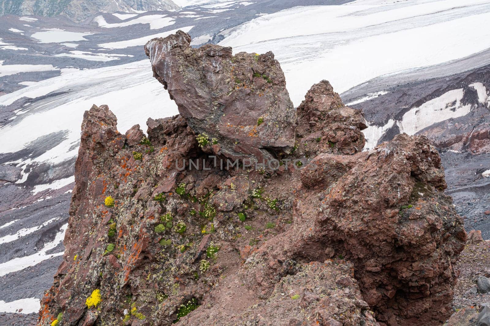 A rugged rocky formation at a high elevation, covered in colorful moss and lichen, overlooks a vast glacier under a clear blue sky during summer. The landscape showcases a mix of textures.