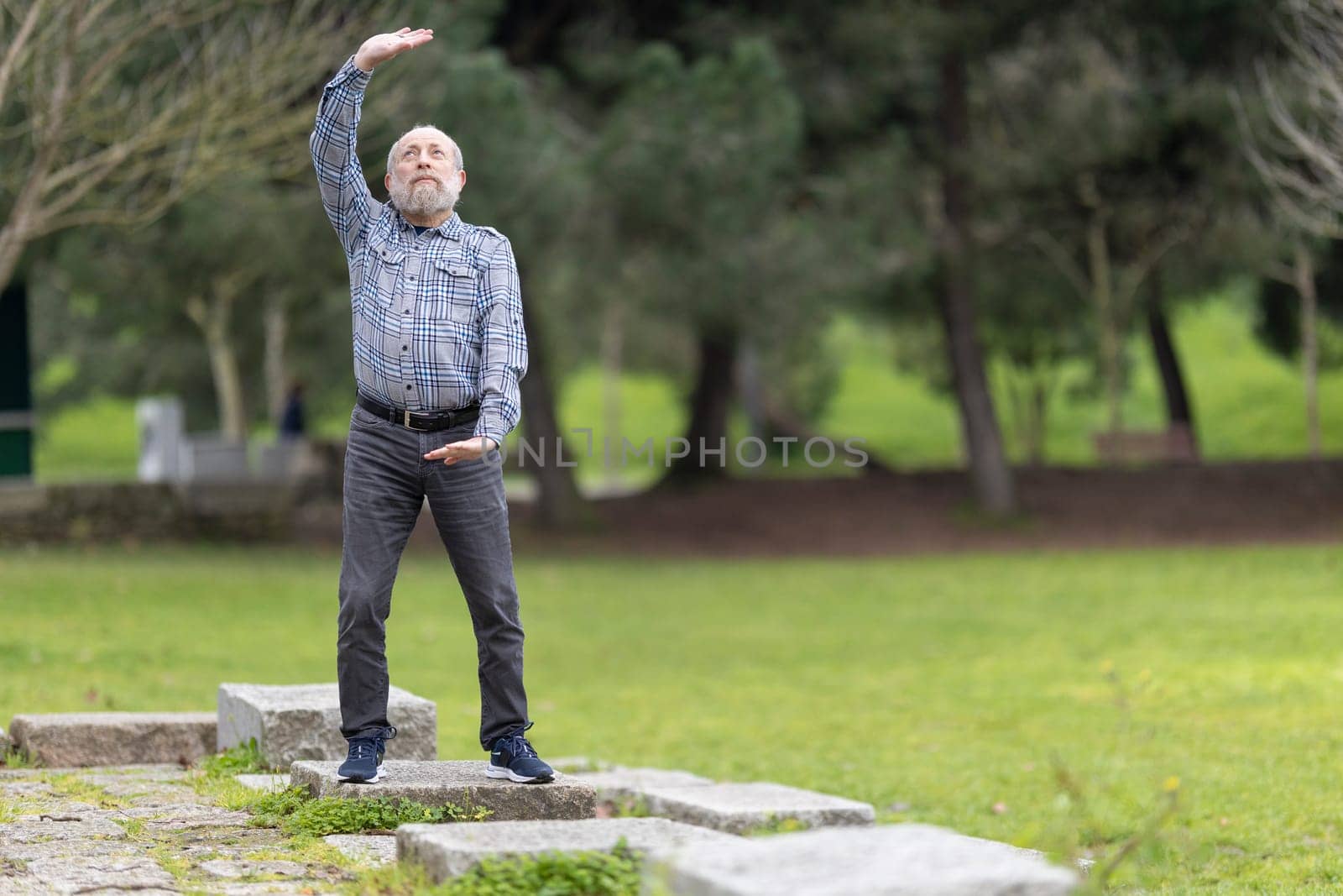 Elderly man performing slow, graceful movements of tai chi chuan in a serene park setting, promoting health and balance