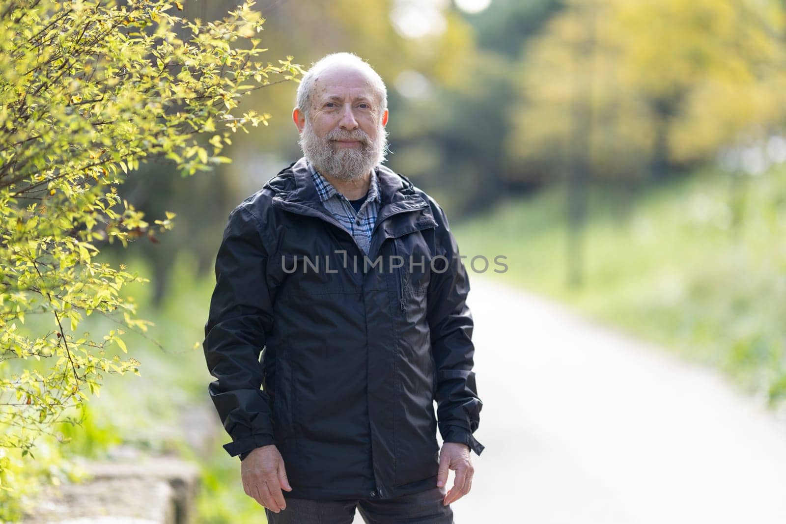 Portrait of a bearded senior man enjoying a peaceful walk in a park, surrounded by lush greenery and a tranquil atmosphere