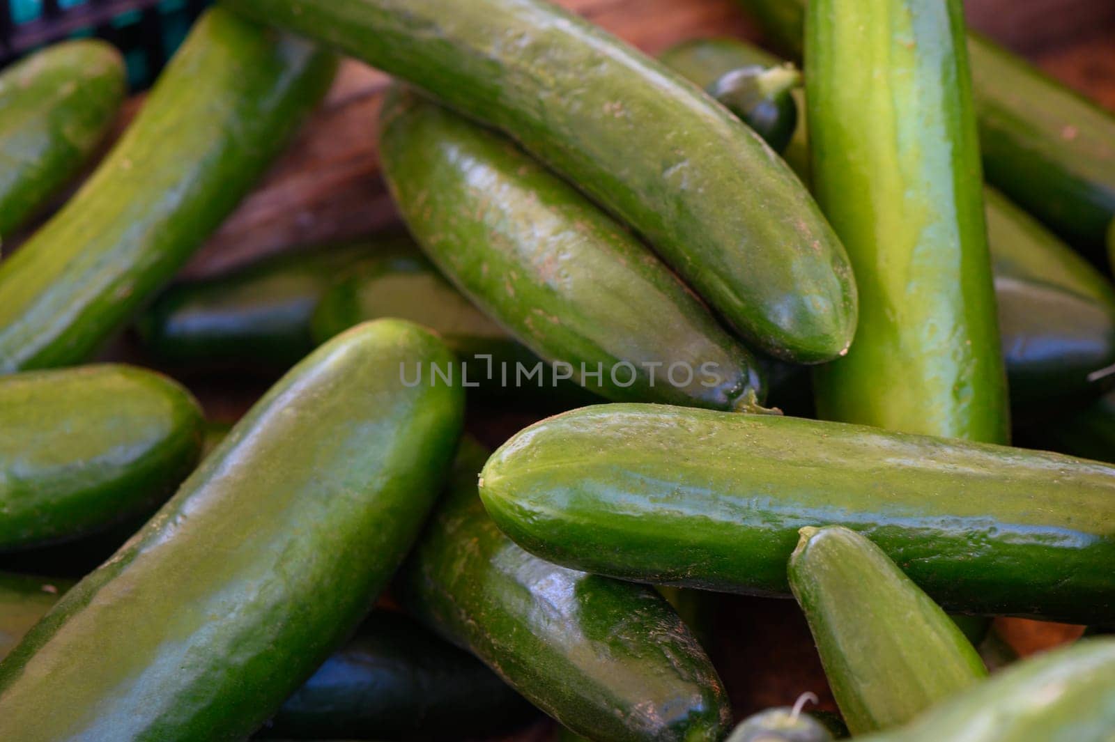 Bright green cucumbers rest together at a bustling market, showcasing their freshness on a sunny afternoon.