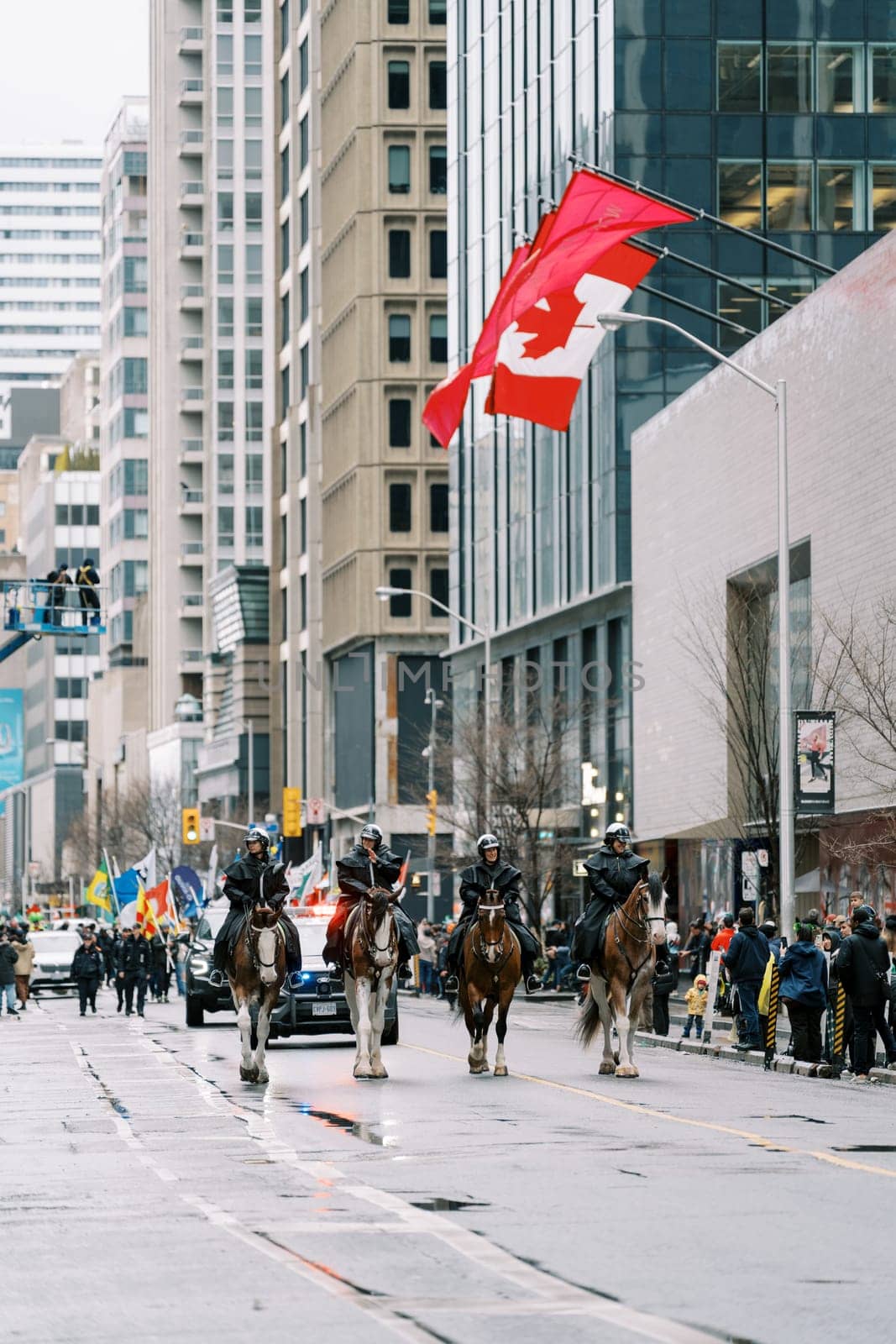 A lively parade with majestic horses and a large Canadian flag in the city
