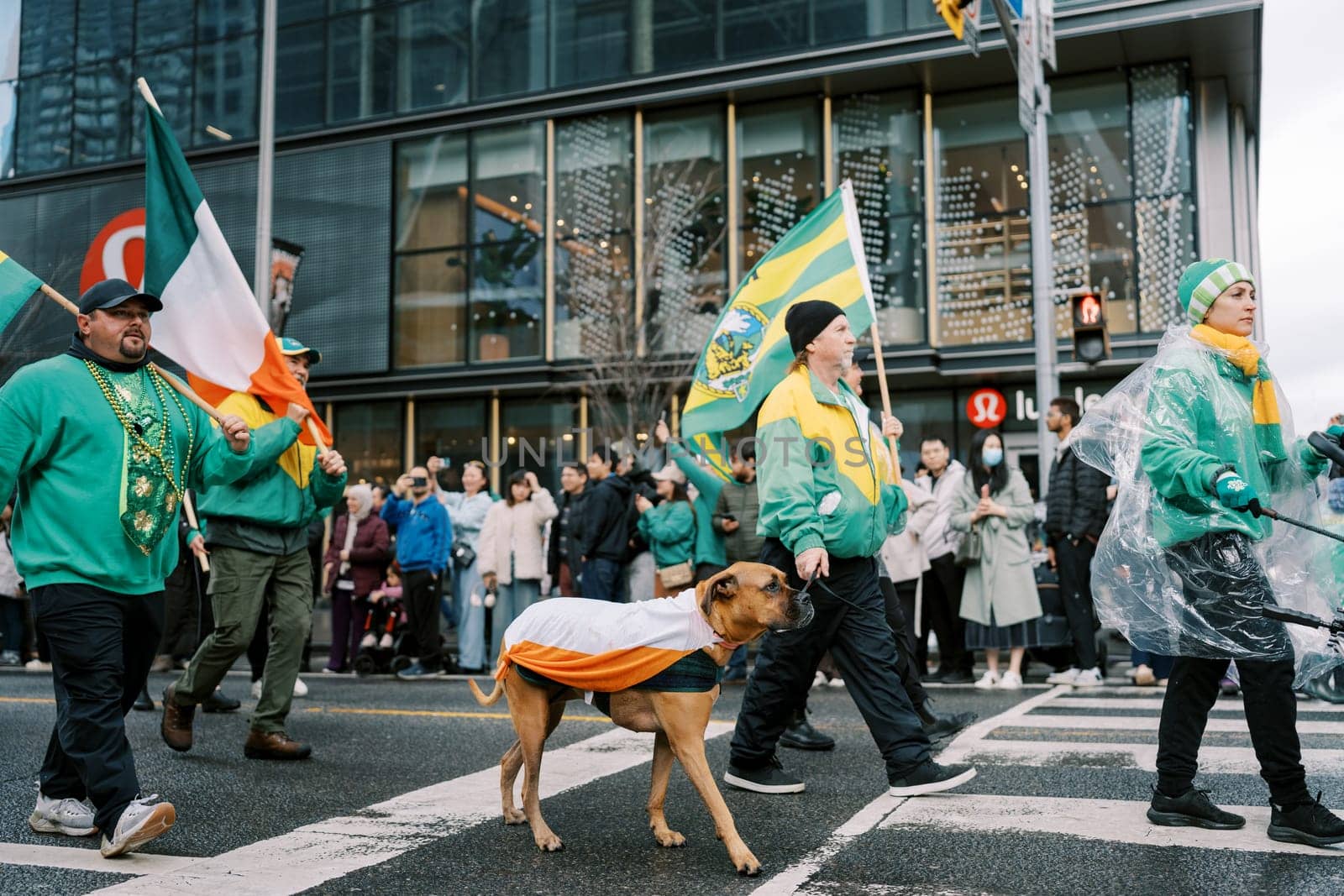 A lively parade scene with enthusiastic participants waving flags and a joyful dog