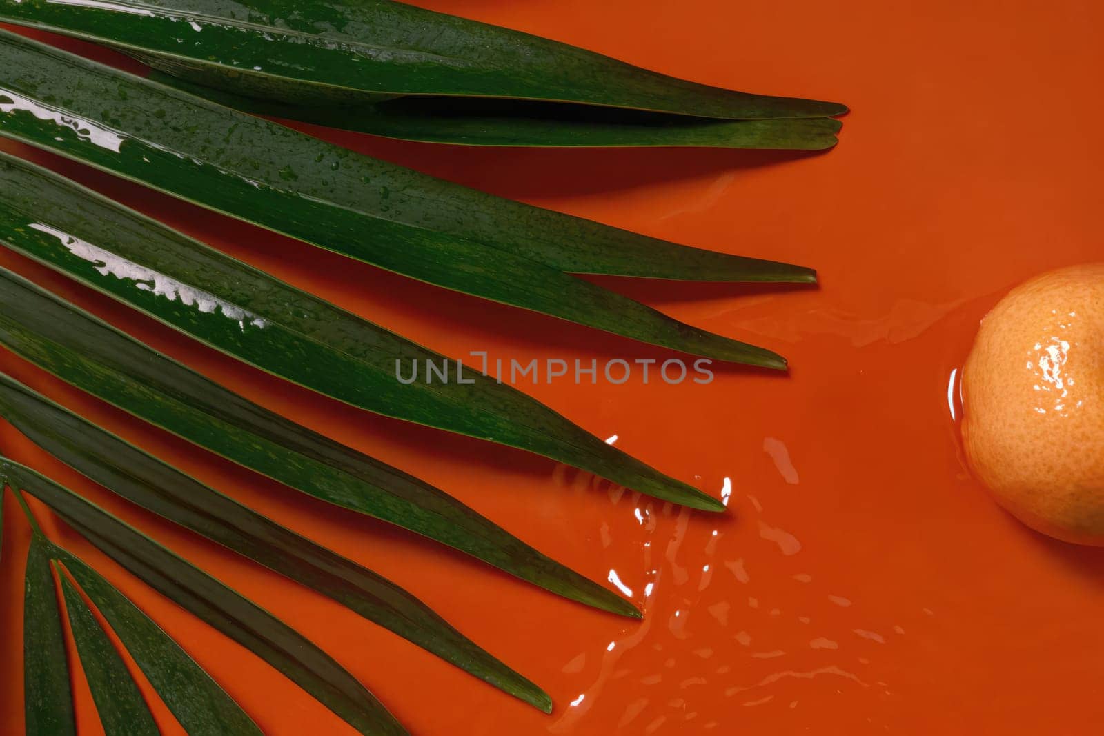 A captivating arrangement showcases a bright orange surface, accented by lush green palm leaves and a ripe fruit. The moisture glistens, evoking a sense of freshness and vitality.