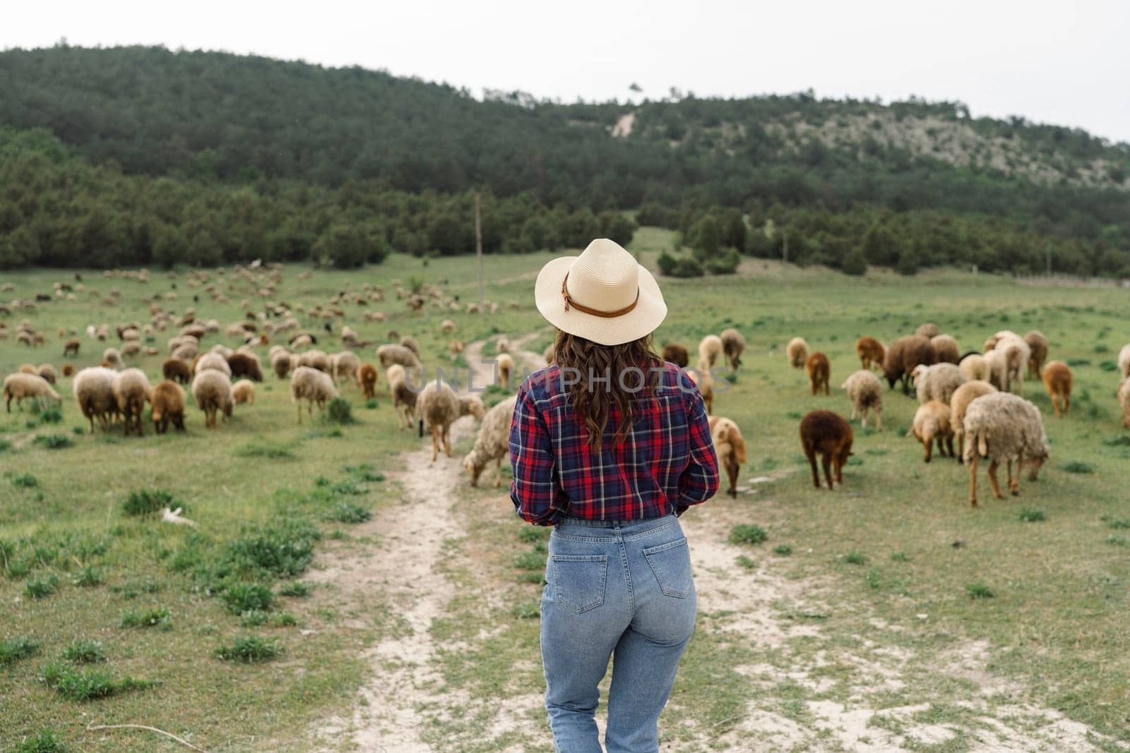 A woman wearing a straw hat walks through a field of sheep. The sheep are scattered throughout the field, with some closer to the woman and others further away. Concept of peacefulness and tranquility