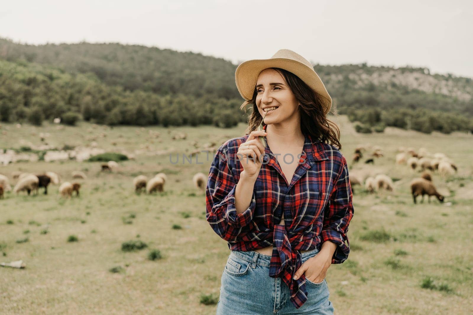 A woman in a plaid shirt and straw hat stands in a field with a herd of sheep