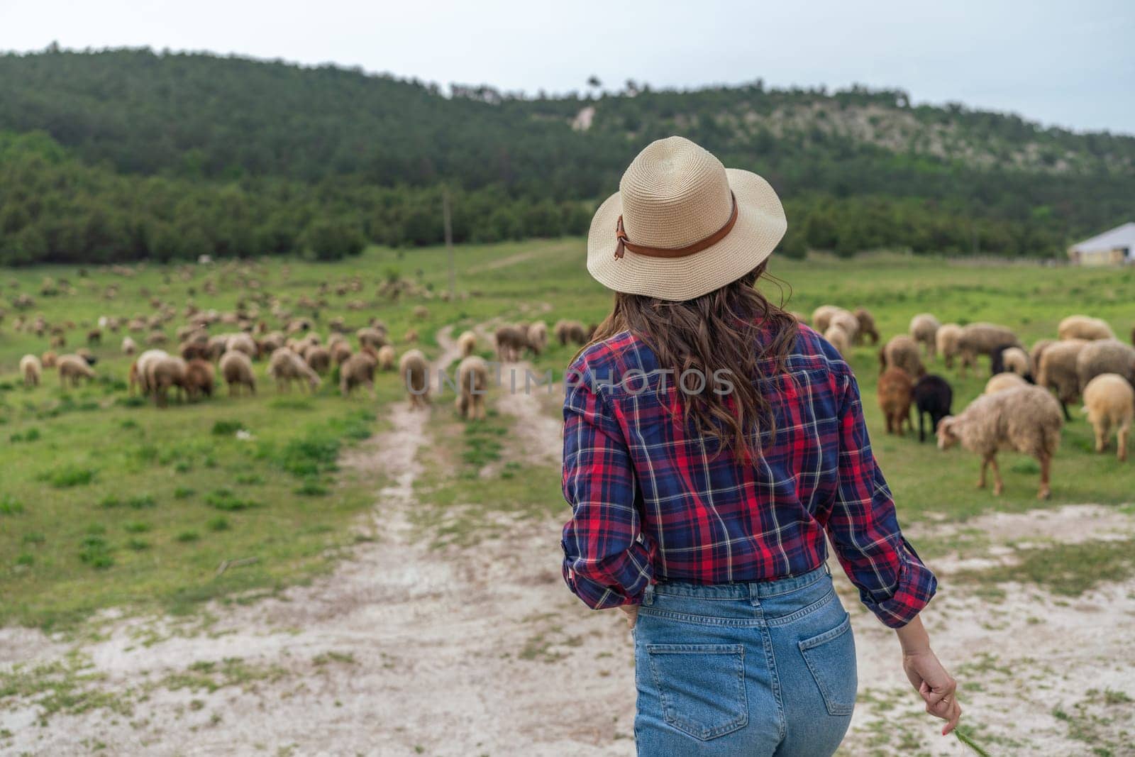 A woman wearing a straw hat stands in a field of sheep. The sheep are scattered throughout the field, with some closer to the woman and others further away. Concept of peacefulness and tranquility