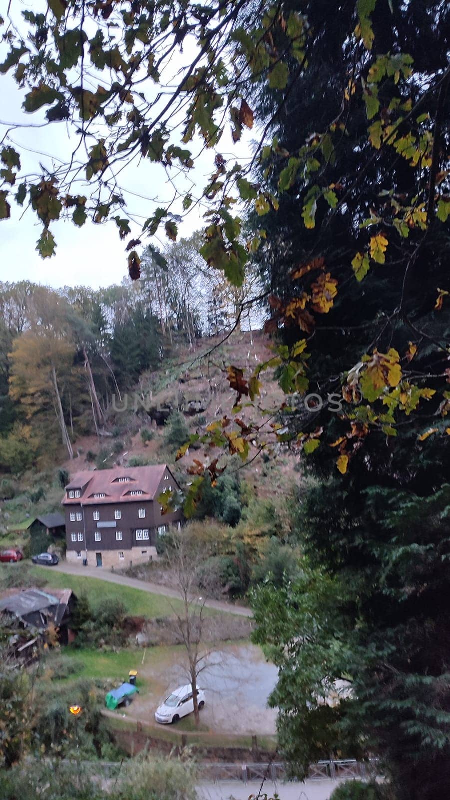 Forest hillside house hotel apartment wooden nature travel background landscape summer day park green autumn shotlisttravel forest . High quality photo