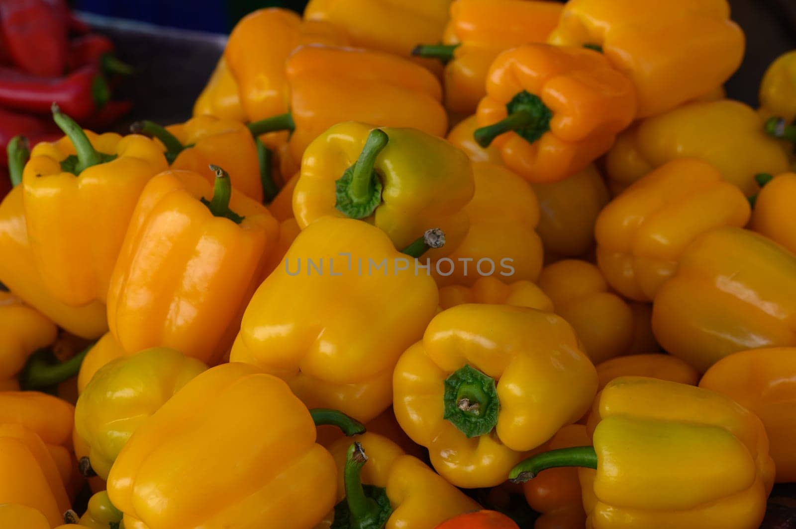 Fresh yellow bell peppers are piled high at a bustling market stall, inviting shoppers seeking local produce.