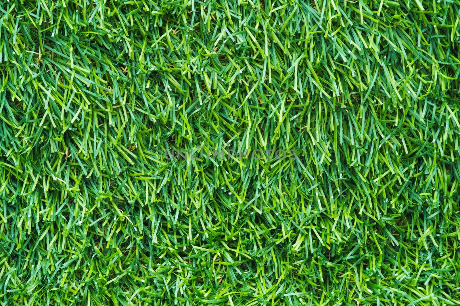 Green background with artificial grass texture close-up with a copy space